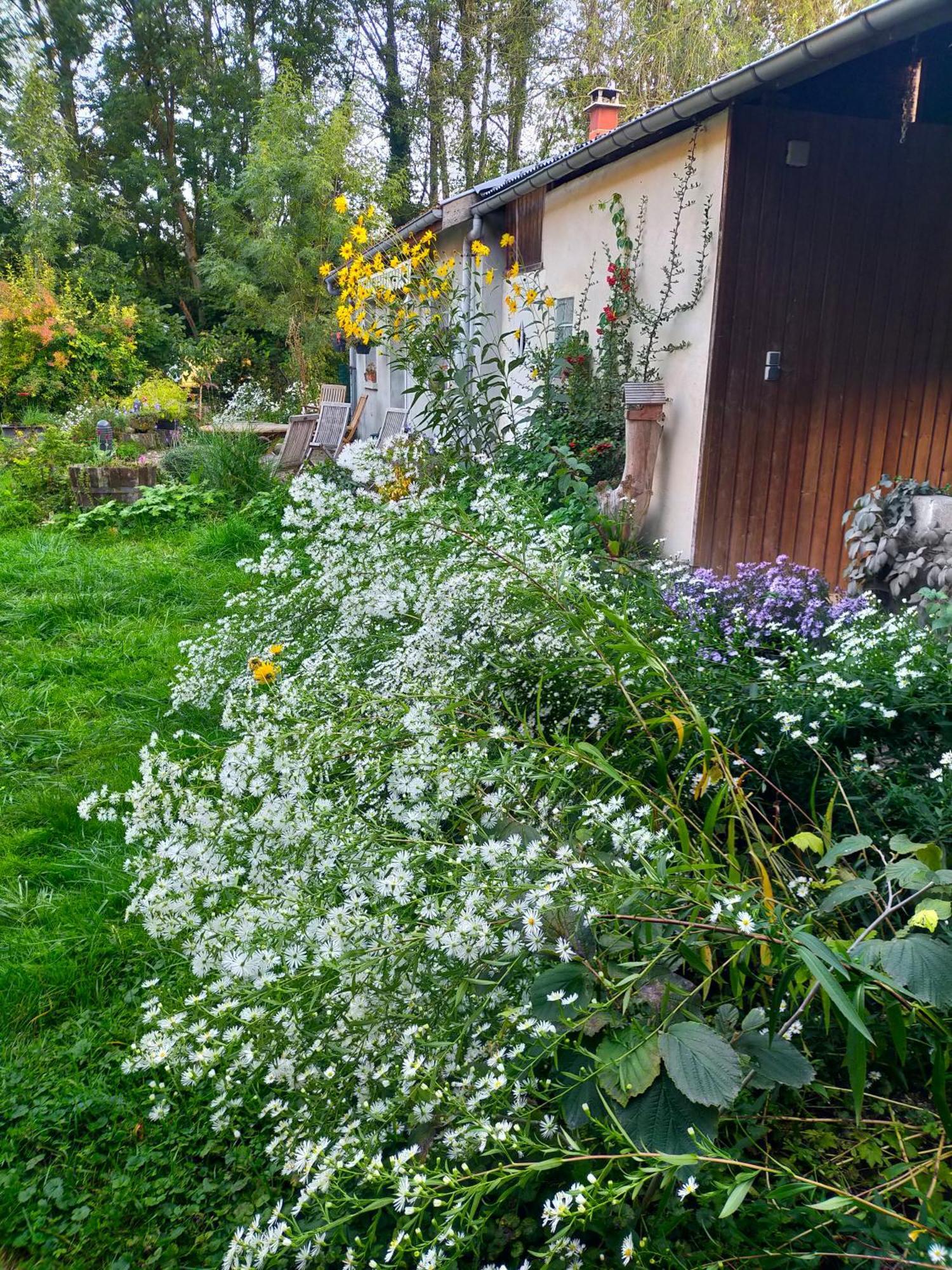 Ville-sur-TourbeLogis51公寓 外观 照片